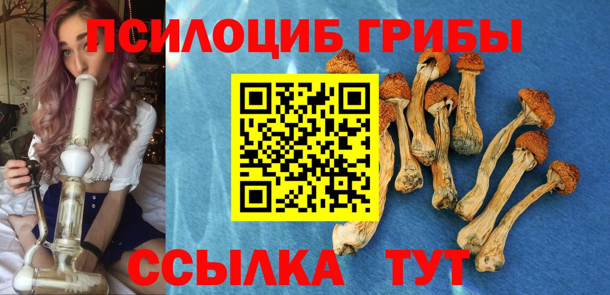 Псилоцибиновые грибы Cubensis Черногорск